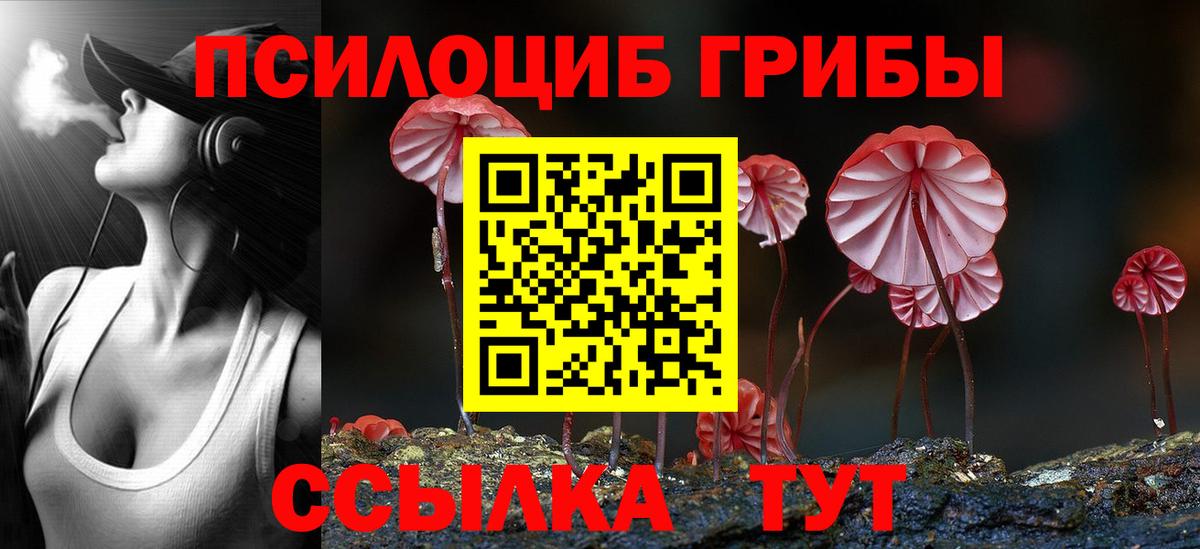 что такое наркотик  Галлюциногенные грибы мухоморы  Кулебаки  Вход с VPN  Псилоцибиновые грибы Psilocybine cubensis 